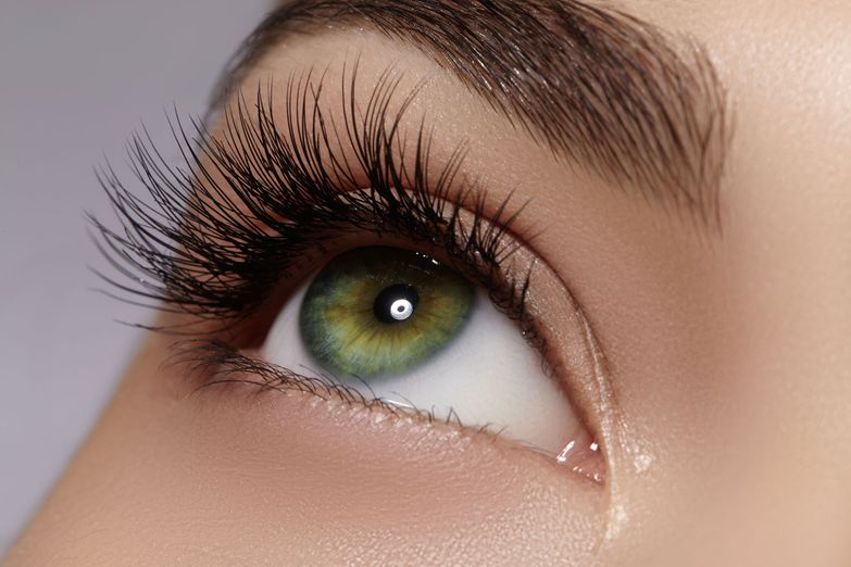 Lash FX